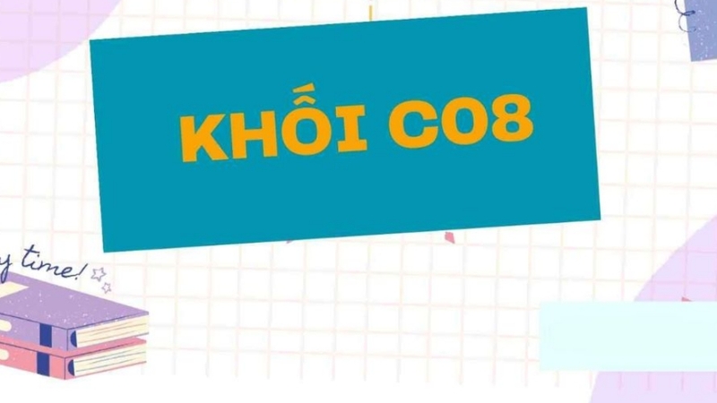 Những bạn chọn tổ hợp môn này cần nắm kiến thức bao quát, có tư duy khoa học và khả năng cảm thụ văn học