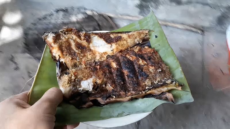 cá bánh lái 6