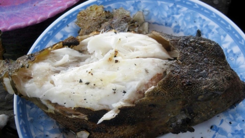 cá bò hòm nướng 3