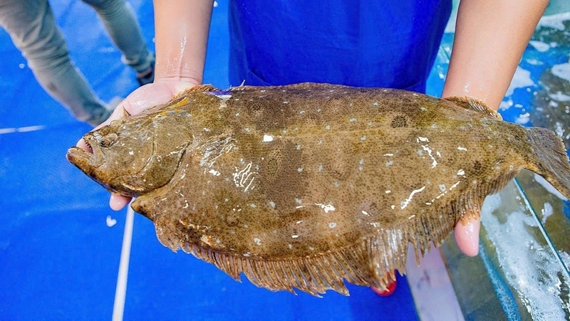 Cá bơn chiên giòn ảnh 2