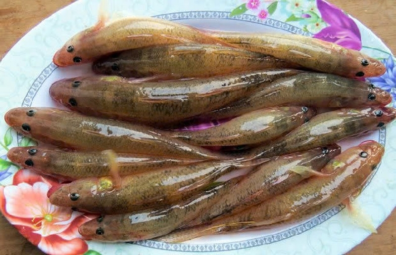 cá bống kho tương ảnh 2