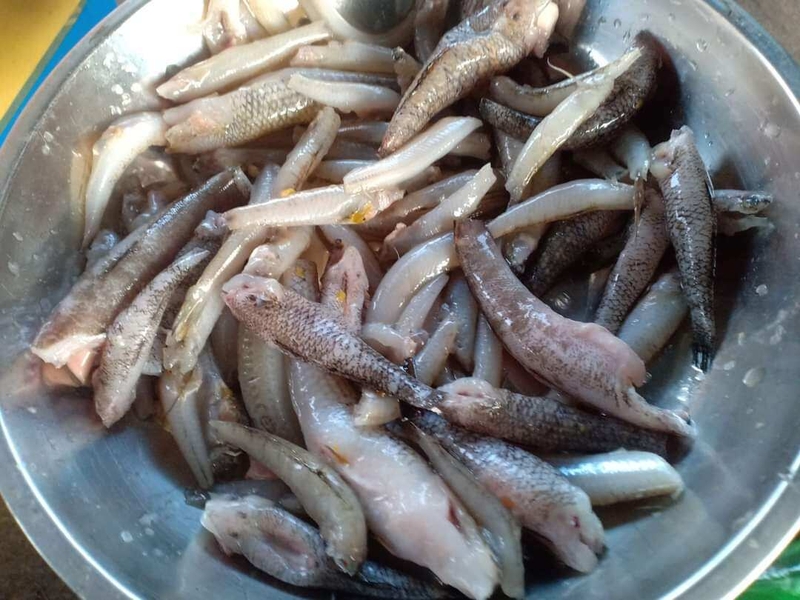 cá bống nấu canh chua 4