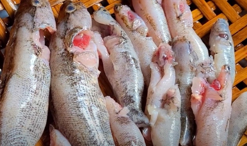 so che ca bong nau canh chua