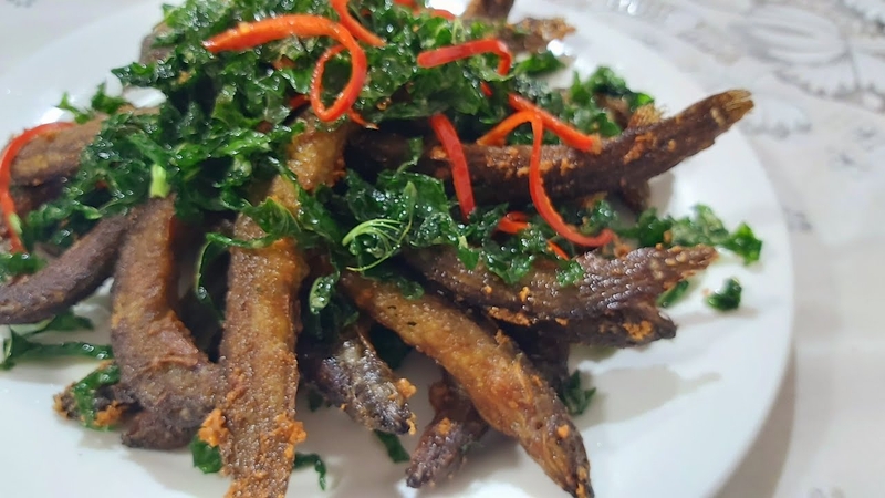 Cá chạch 9