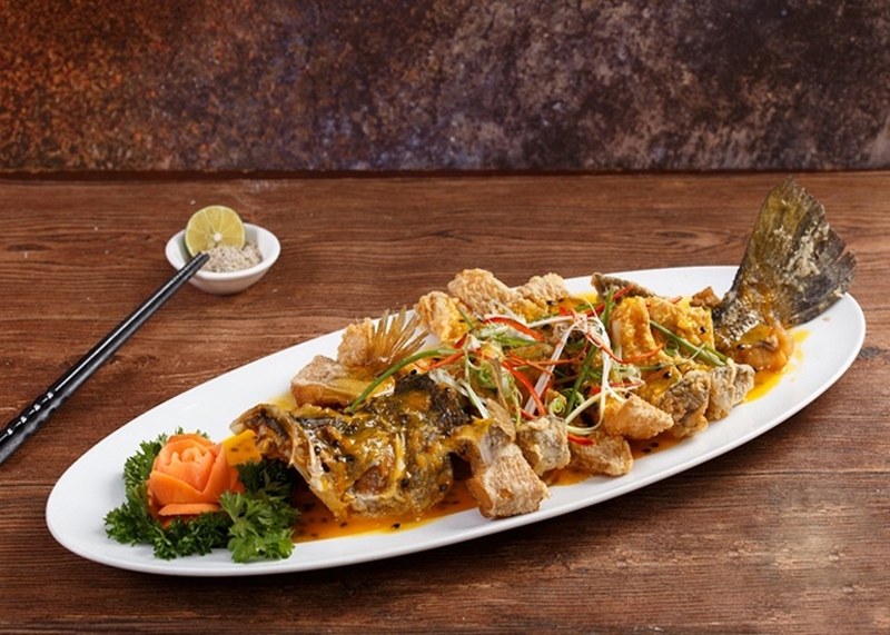 cá chẽm ảnh 13