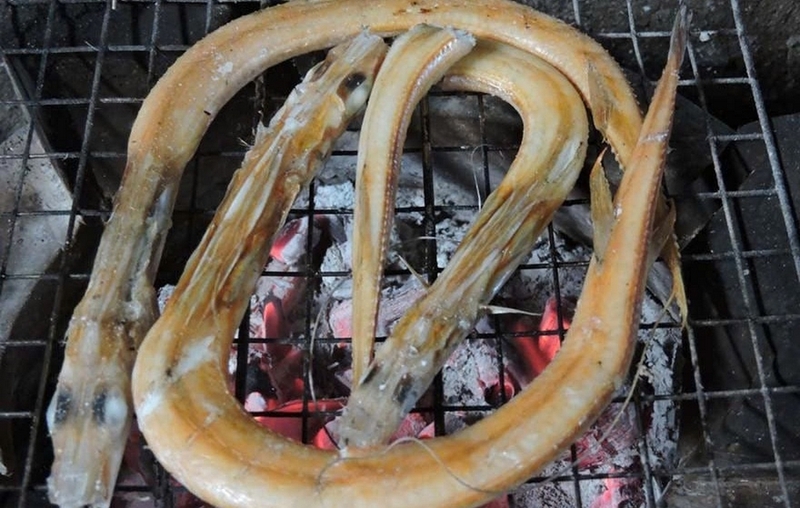 Cá chìa vôi ảnh 6