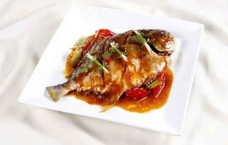 Cá chim biển ảnh 7