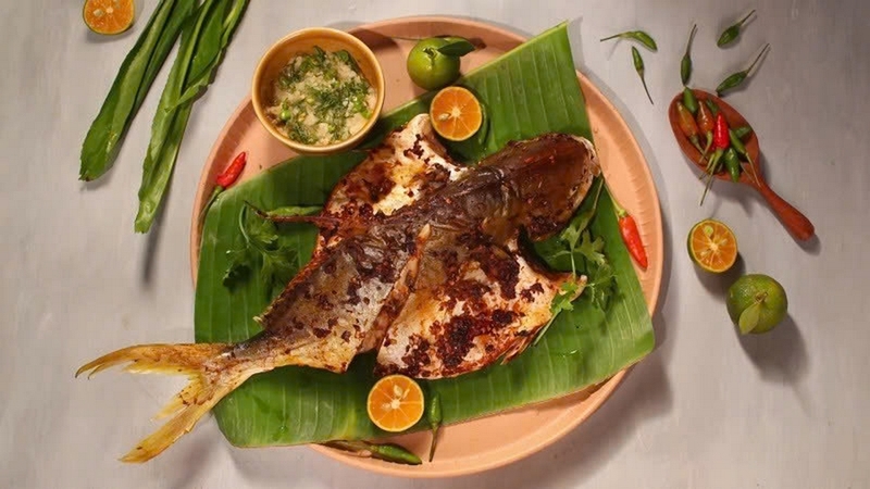Cá chim biển ảnh 8