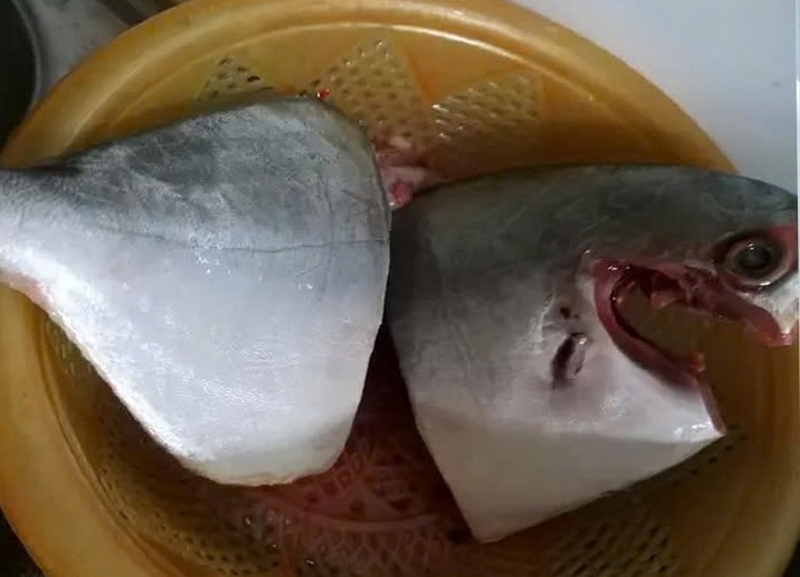 cá chim nấu ngót ảnh 2