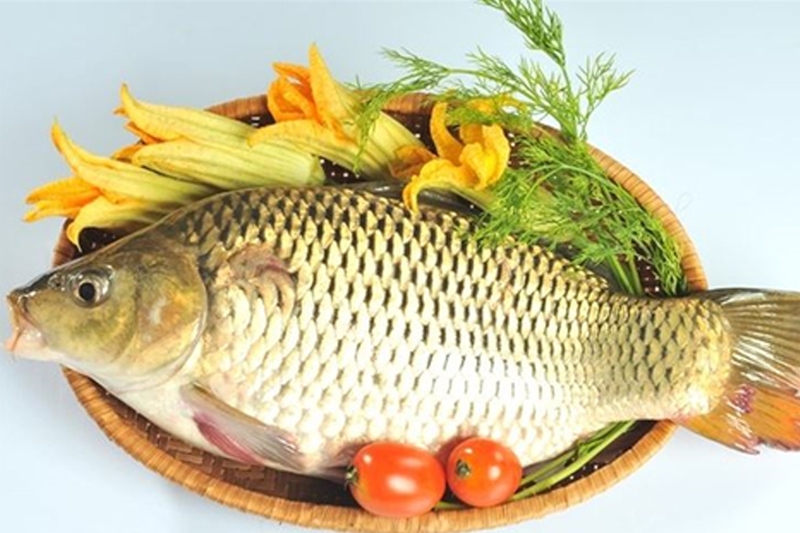 Cá chép được nhiều phụ huynh lựa chọn để nấu cháo cho bé.