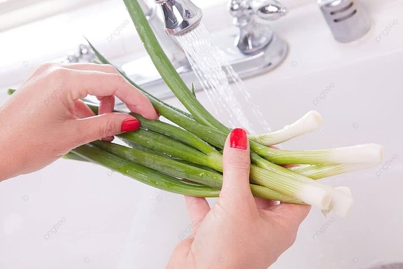 cá chuồn chiên củ nén ảnh 2