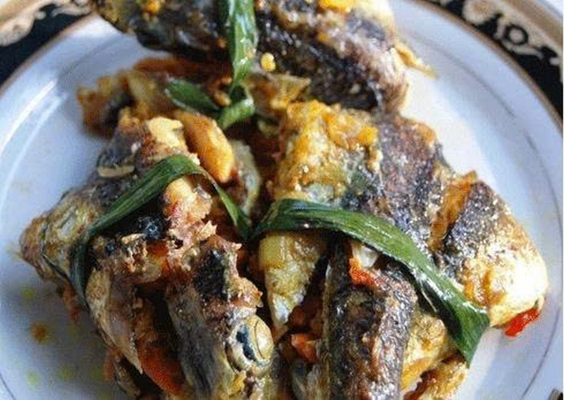 cá chuồn chiên củ nén ảnh 4