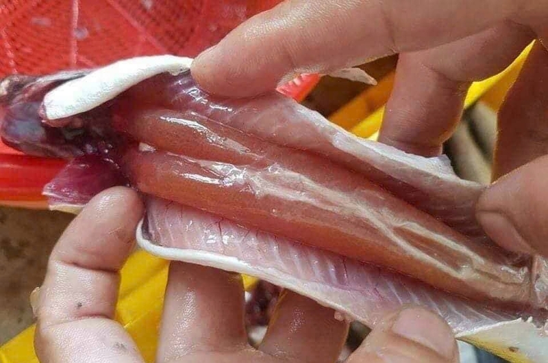 Cá chuồn kho ớt xanh ảnh 2