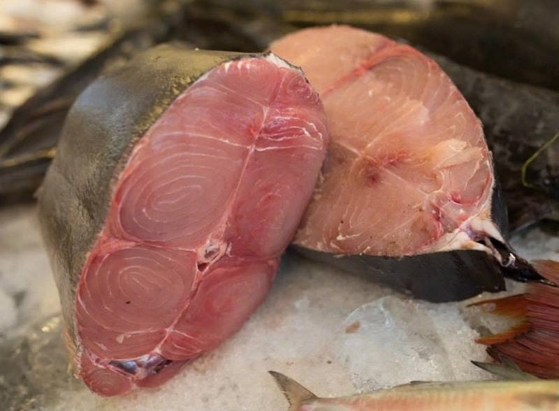 cá cờ chiên ảnh 5