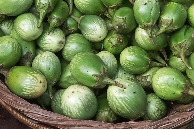 cà đắng kho cá 2