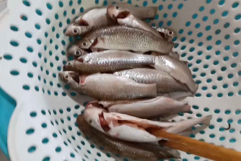 cá đối kho nghệ hình 3
