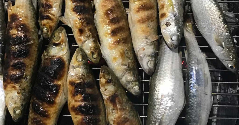 ca doi nuong moi