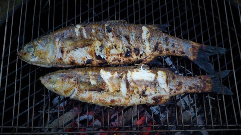 Nướng cá