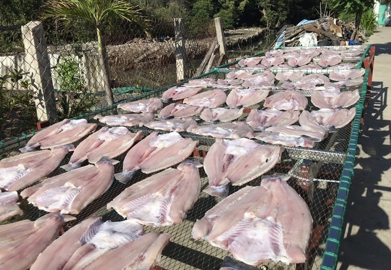 cá dứa 1 nắng ảnh 2