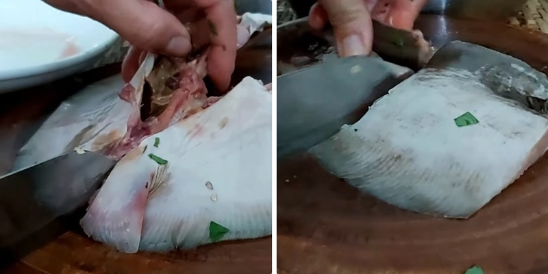 cá đuối hấp hành 3