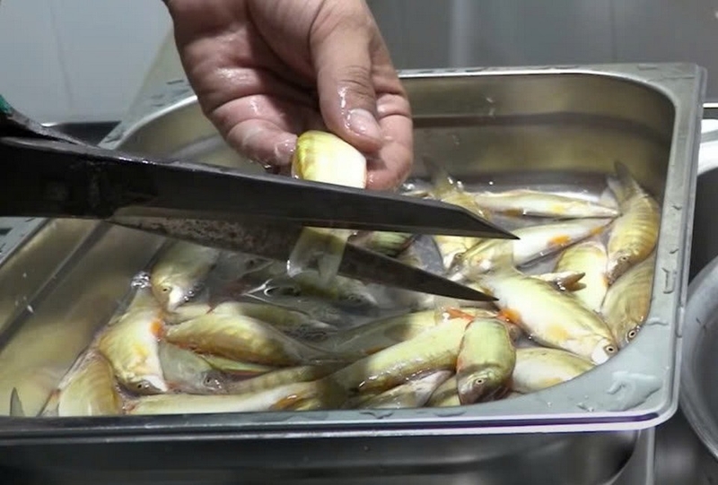 cá heo kho lạt ảnh 3