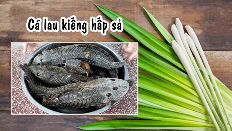 nguyen lieu ca lau kieng hap sa