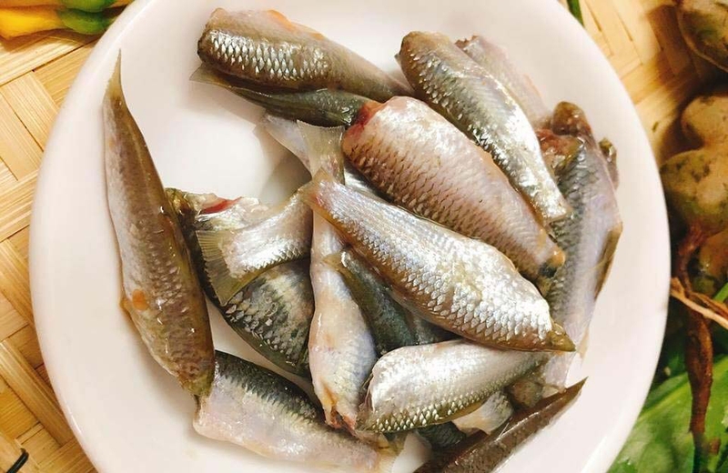 cá linh kho nghệ 1
