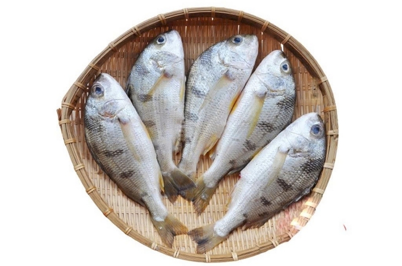 Cá lò ảnh 2