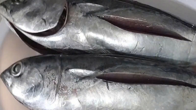 cá lồ ồ kho măng ảnh 2