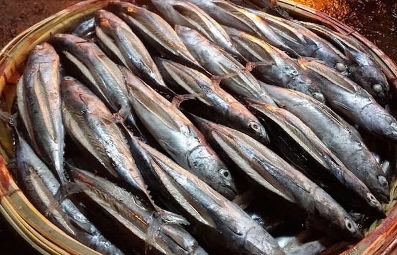 cá lồ ồ nấu mẵn ảnh 1