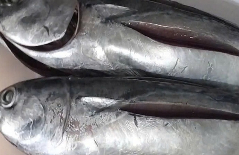cá lồ ồ nấu mẵn ảnh 2