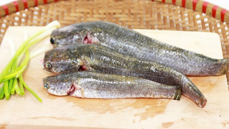 nguyen lieu lam ca loc hap hanh