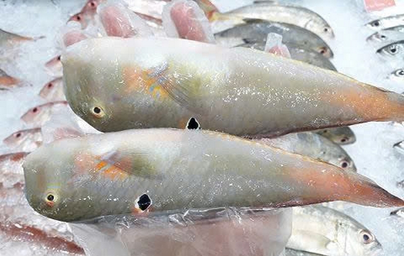 Cá giàu omega-3 tươi ngon