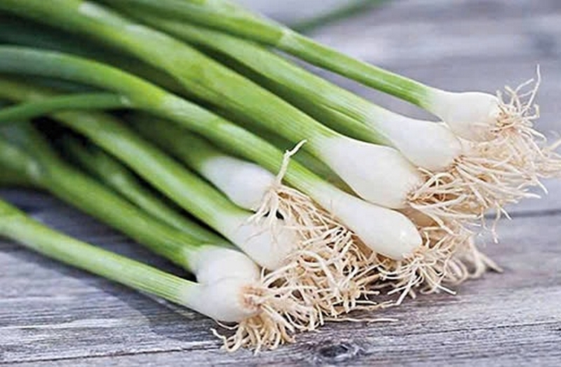 cá mối nướng hành ảnh 2