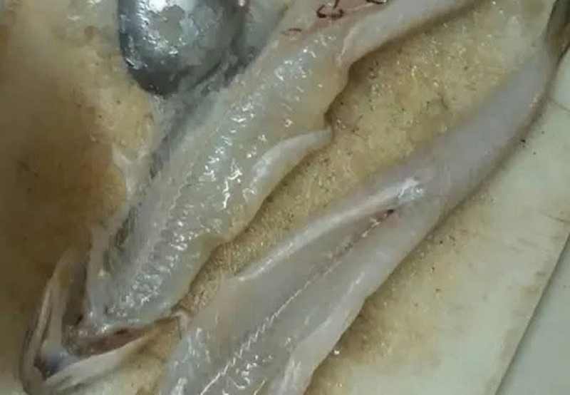 cá mối nướng hành ảnh 3