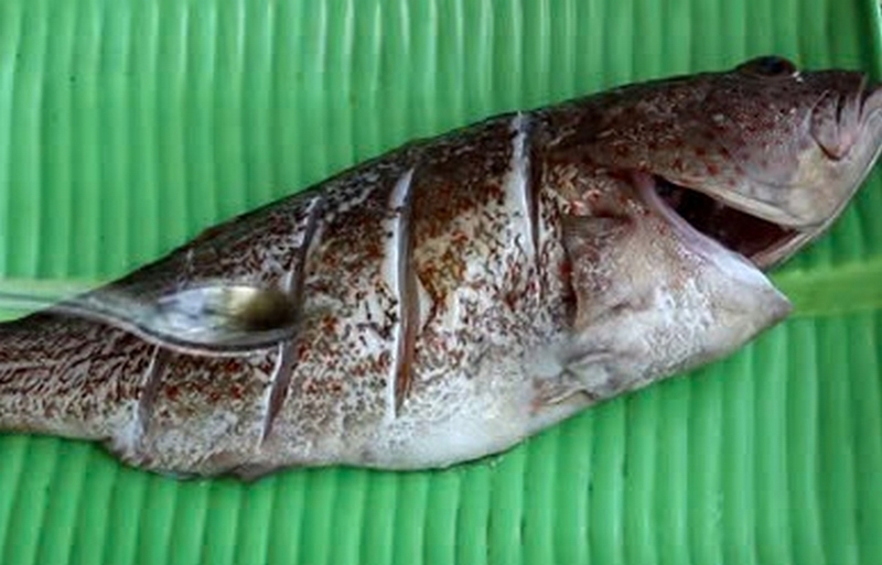 cá mú hấp gừng hành ảnh 2