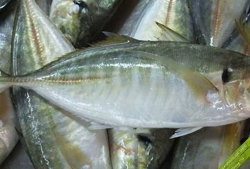 Cá ngân chiên giòn ảnh 1