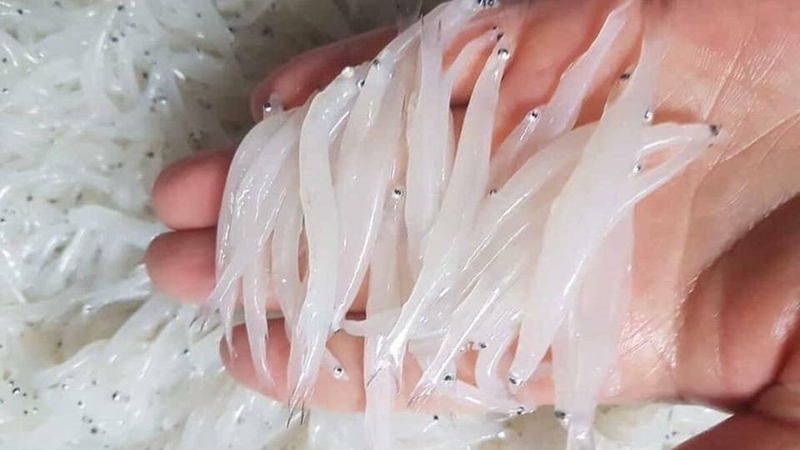Cá ngần chiên giòn 2