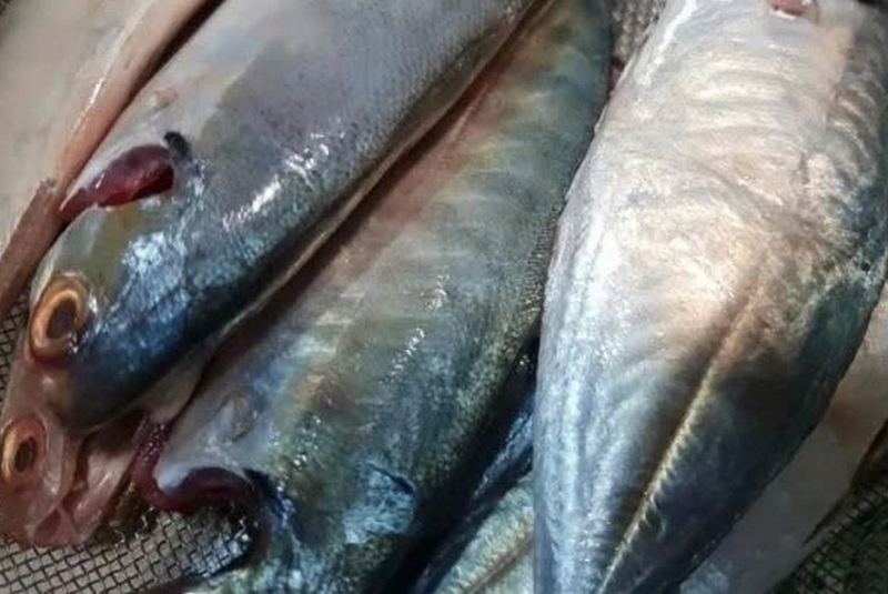 Cá ngân kho cà chua ảnh 2