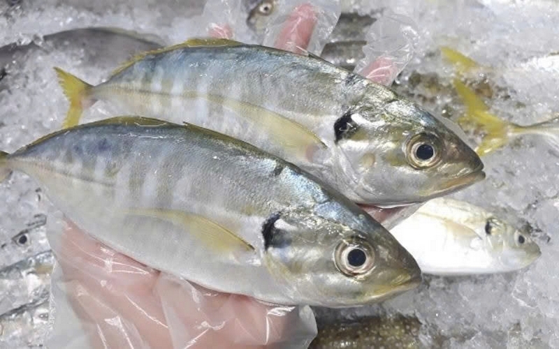 cá ngân kho thơm ảnh 1