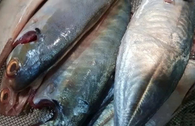 cá ngân kho thơm ảnh 4