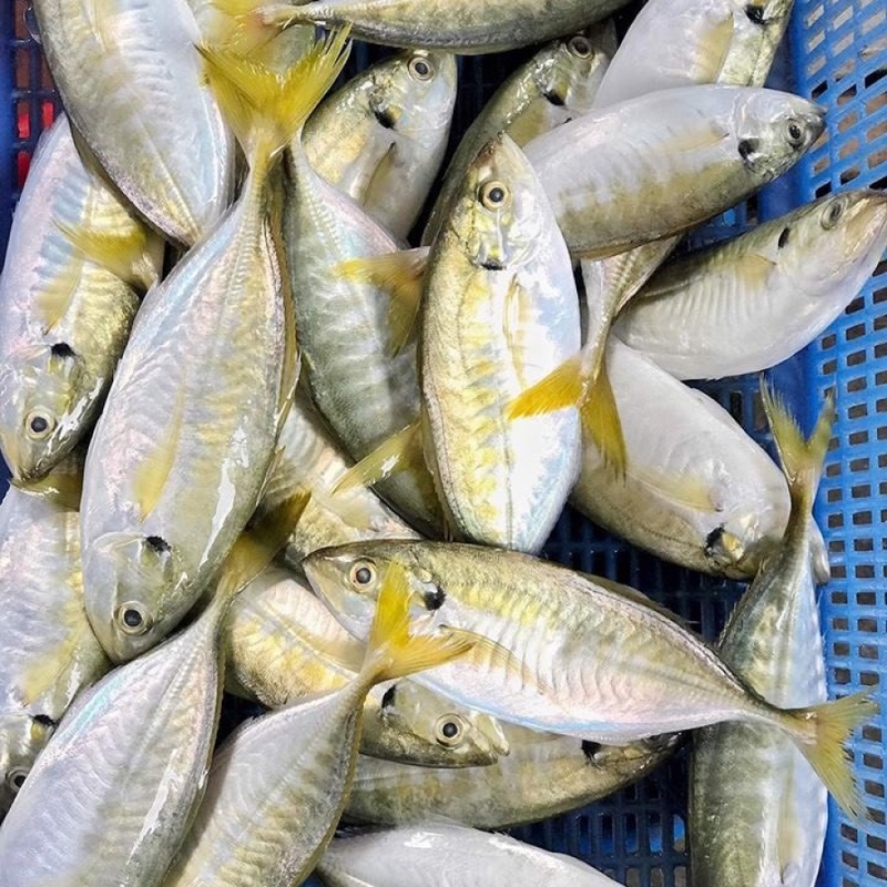 cá ngân nấu canh chua hình 10