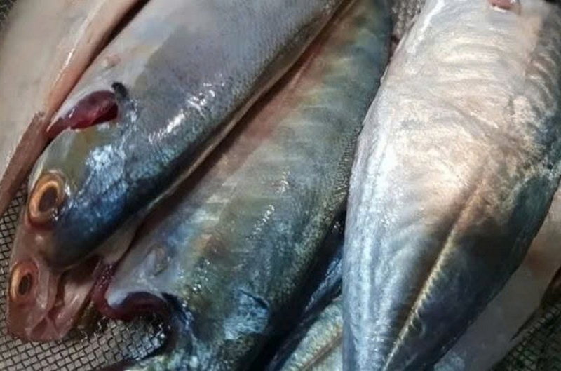 cá ngân nấu canh chua măng ảnh 2