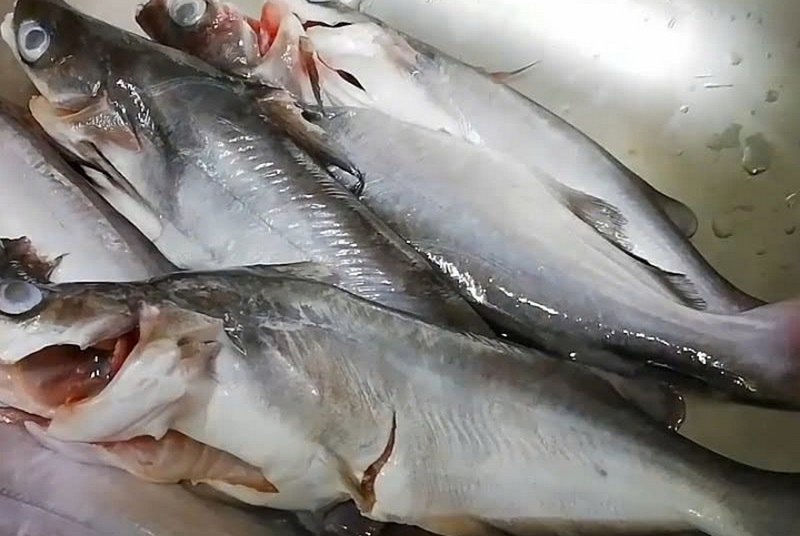 Cá ngạnh kho riềng ảnh 3