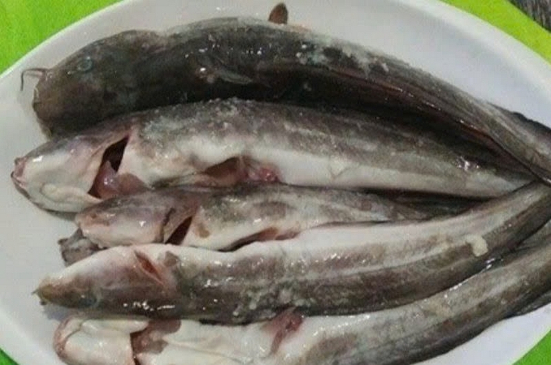 Cá ngát nướng muối ớt ảnh 3