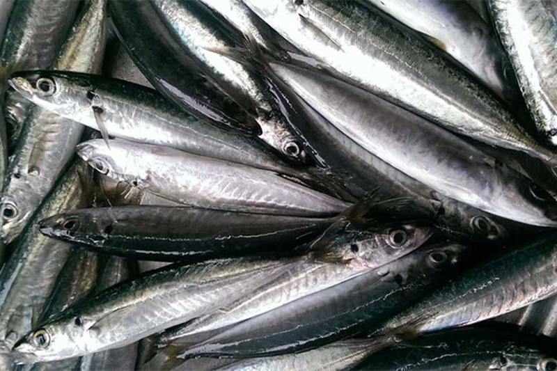 Công thức làm cá nục kho - 08