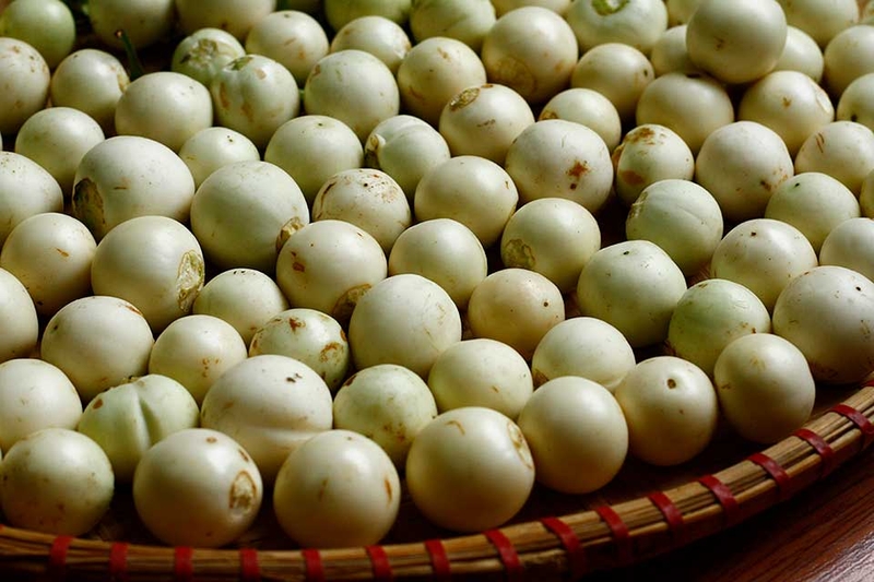 Cà pháo muối mặn - 06