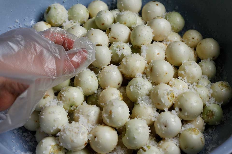 Cà pháo muối mặn - 05
