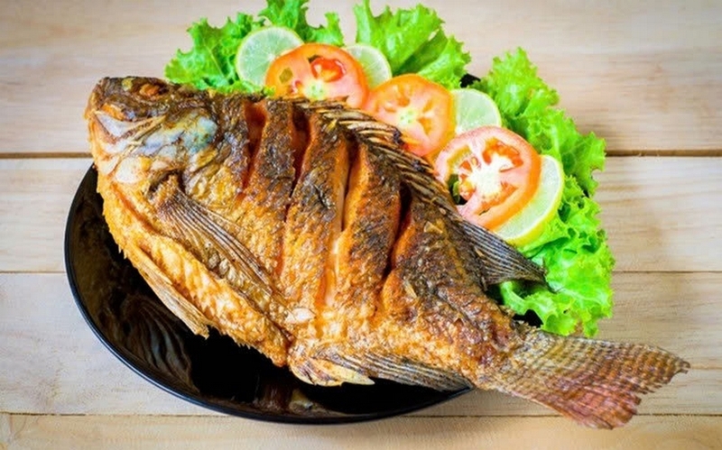 cá rô biển ảnh 6