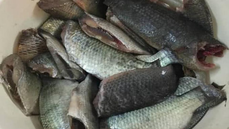 Bước 1: Sơ chế cá rô đồng